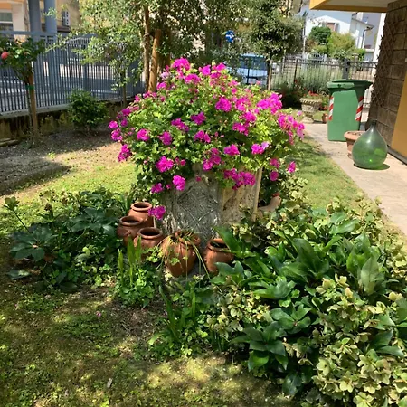 Calipso * 阿巴诺泰尔梅