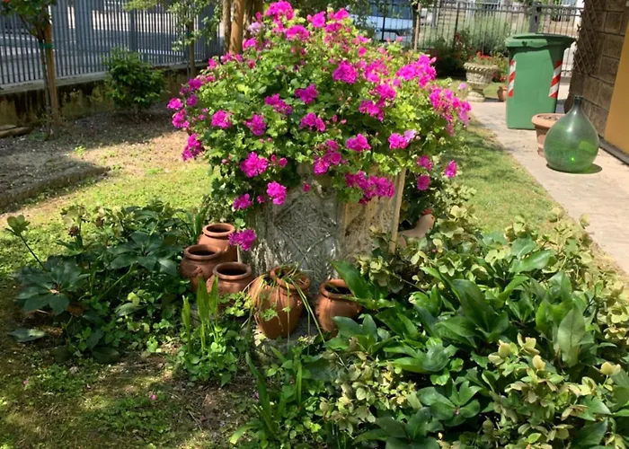 Calipso * Abano Terme